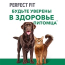 Акция  «Perfect Fit» (Перфект Фит) «Будьте уверены в здоровье питомца»