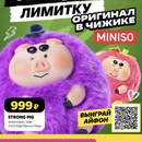 Акция Чижик