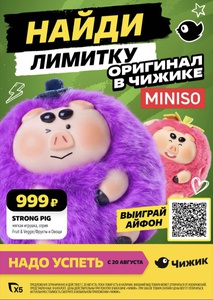 Акция Чижик