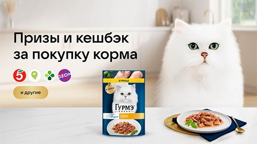 Акция  «Гурмэ» (Gourmet) «Акция в сервисе VK Чекбэк: Категория корма для животных»