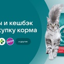 Акция Purina ONE, Felix, Гурмэ, Дарлинг и Чекбэк
