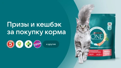 Акция Purina ONE, Felix, Гурмэ, Дарлинг и Чекбэк