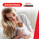 Акция  «Purina One» (Пурина Ван) «Каждый питомец нуждается в заботе!»