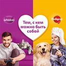 Акция  «Whiskas» (Вискас) «Тем, с кем можно быть собой»