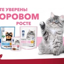 Акция «PERFECT FIT™ Будьте уверены в здоровом росте»