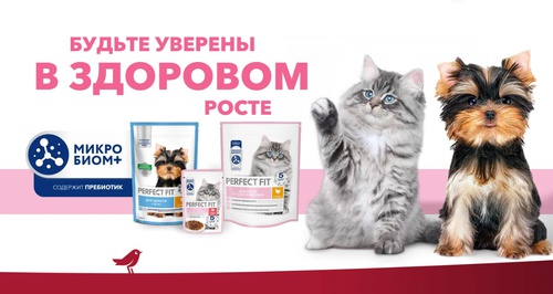 Акция «PERFECT FIT™ Будьте уверены в здоровом росте»