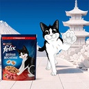 Акция  «Felix» (Феликс) «FELIX® ждёт – в путешествие зовёт»