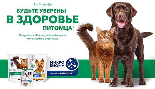 Акция  «Perfect Fit» (Перфект Фит) «Дневник здоровья питомца»