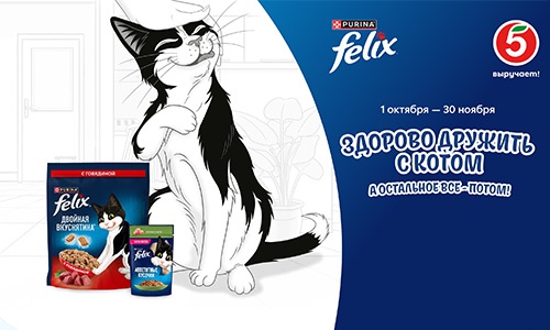 Акция  «Felix» (Феликс) «Здорово дружить с котом, а остальное все потом!»