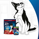 Акция  «Felix» (Феликс) «Здорово дружить с котом, а остальное все потом!»