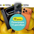 Акция Лента, Вингараж: «Яблочный переполох»