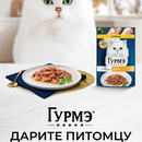 Purina one, Felix, Гурмэ, Дарлинг и Монетка