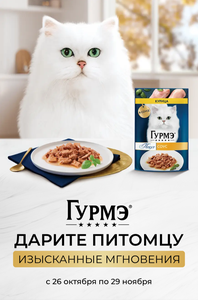 Purina one, Felix, Гурмэ, Дарлинг и Монетка