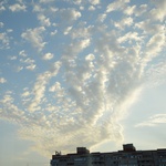 Alexxxx