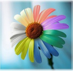 Lelen