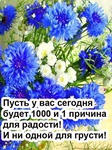 Svetlana_9