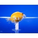 Lemonchik