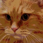 RedCat
