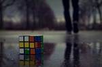m_n_mal