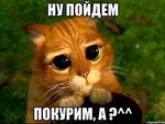 Pavel1982
