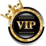 VipLev