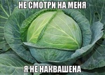 ZoyaDoronina