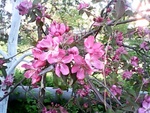 NatalyE