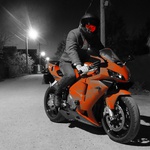 GoldenBoy48