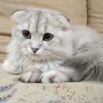 Andrey_Zh