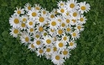 Vesna_
