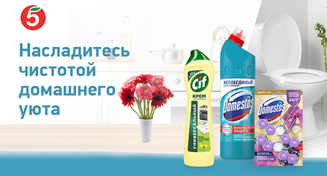 Акция  «Domestos» «Насладитесь чистотой домашнего уюта»