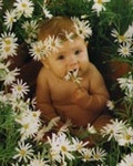 Elvina