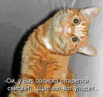 ekaterina52044