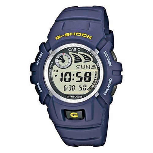 Часы G-Shock G-2900F-2VER