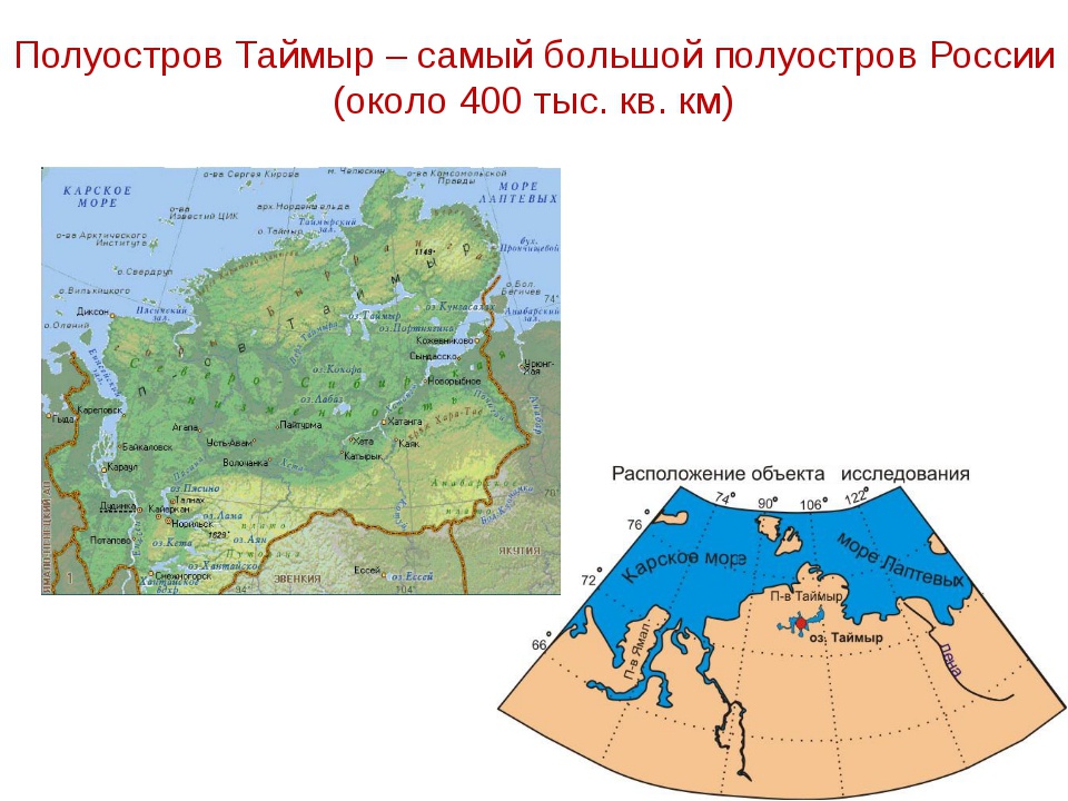 Какой полуостров является самым крупным по площади. Полуостров Таймыр на карте России. Таймер полуостров на карте России. Полуостров Таймыр на карте. Таймыр полуостров географическая карта.