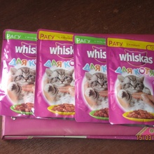 Бесплатный набор для котёнка от Whiskas