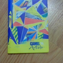 Обложка для паспорта от Camel
