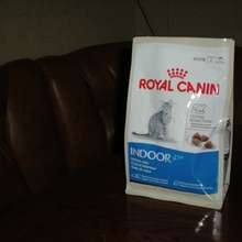 подарок  от Royal Canin
