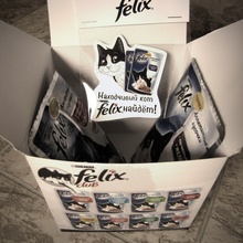 2 пакетика корма, магнит и коробочка) от Felix