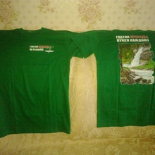 2 футболки от Три Медведя