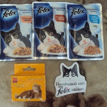 3 упаковки корма Felix, Антицарапки и Магнитик от Felix