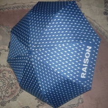 Зонт от Raison