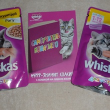 2 пакетика корма для котят от Раздавали промоутеры