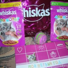 подарок для котенка от Whiskas