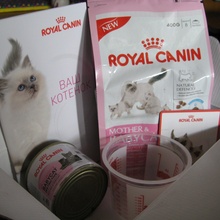 Привезли корм для наших больших "котят" от Royal Canin