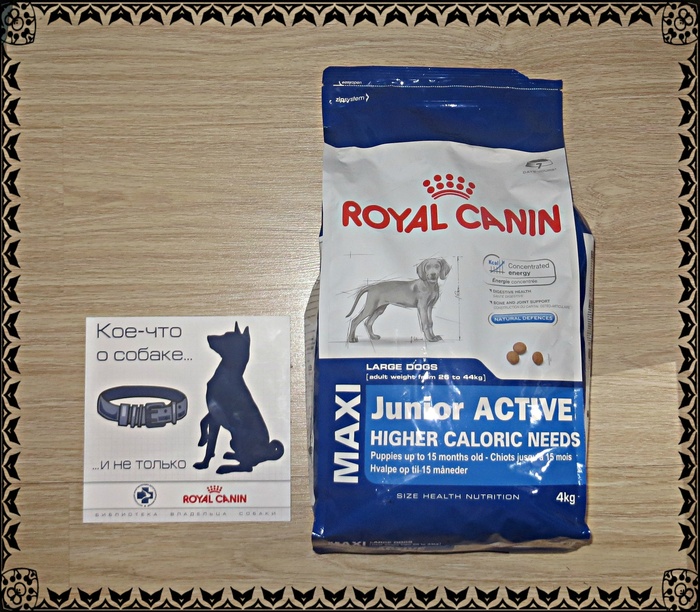 Приз конкурса Royal Canin «Kitten&Puppy College»