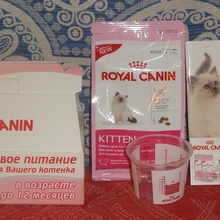 Подарок для котенка :) от Royal Canin