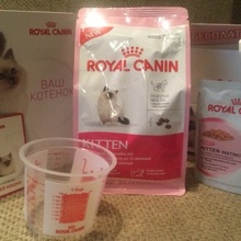 Подарок для котенка от Royal Canin
