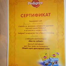 Сертификат на посещение  общего курса дрессировки собак)  от Фотоконкурс Pedigree: «Все по зубам»