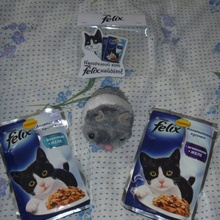 Набор для кошек от Felix